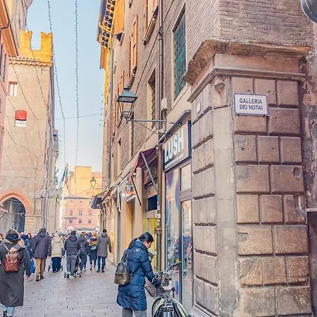 Piazza Grande - Italian Homing